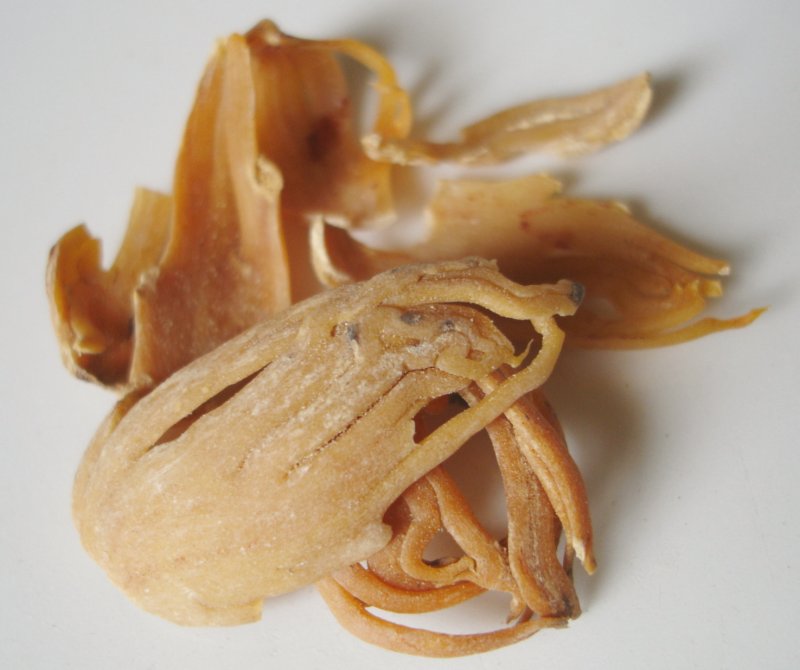 Myristica fragrans - Macis